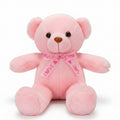1ft Pink Love Teddy Bear