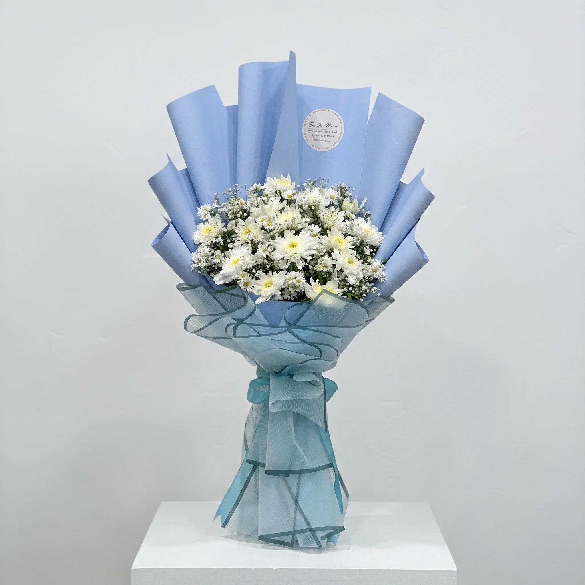 Azure Cloud White Mums